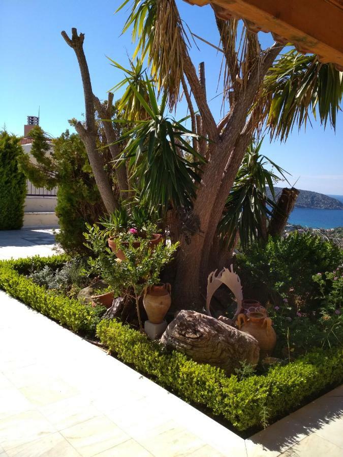 Penzion Saronic View Anavyssos Exteriér fotografie